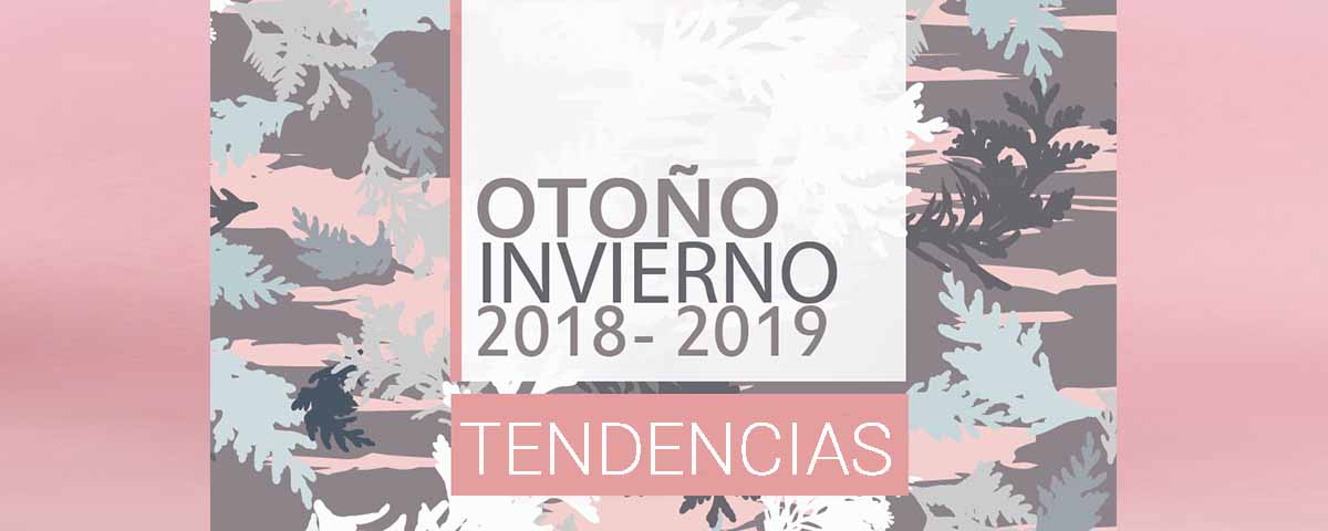 Zapatos de otoño online invierno 2019